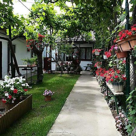 كونستانتا Flower House المظهر الخارجي الصورة